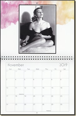 Eva Lynd 2019 calendar - November Eva